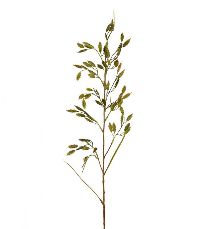Gress 100 cm
