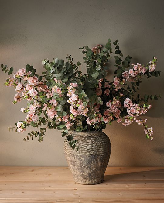 Hovedbilde Pion