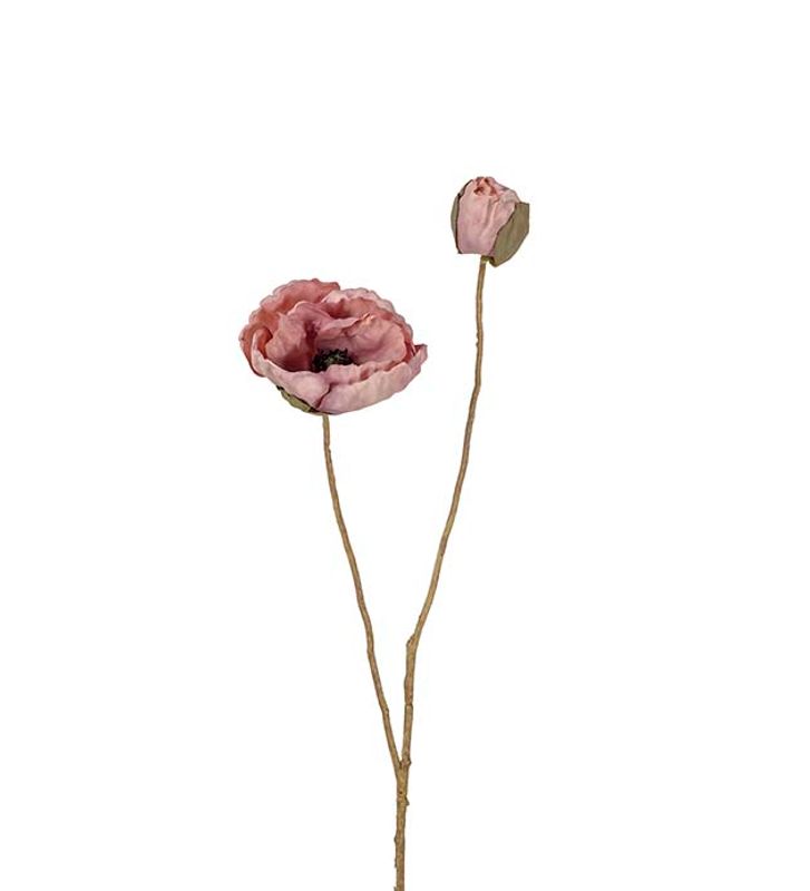 Valmue gammelrosa 